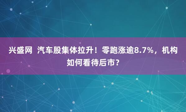 兴盛网  汽车股集体拉升！零跑涨逾8.7%，机构如何看待后市？